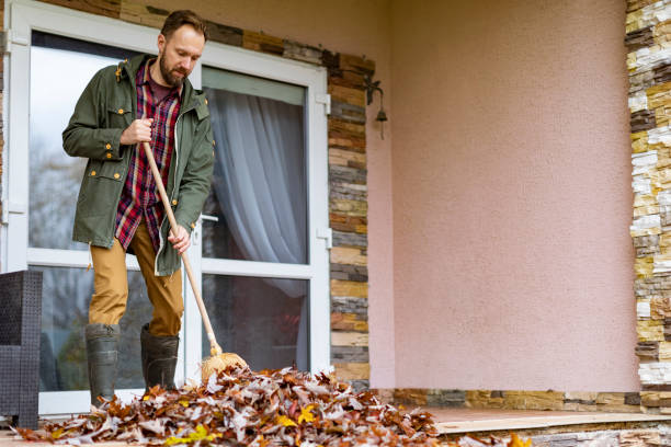 Best Yard Cleanup Services  in Vla Grove, IL